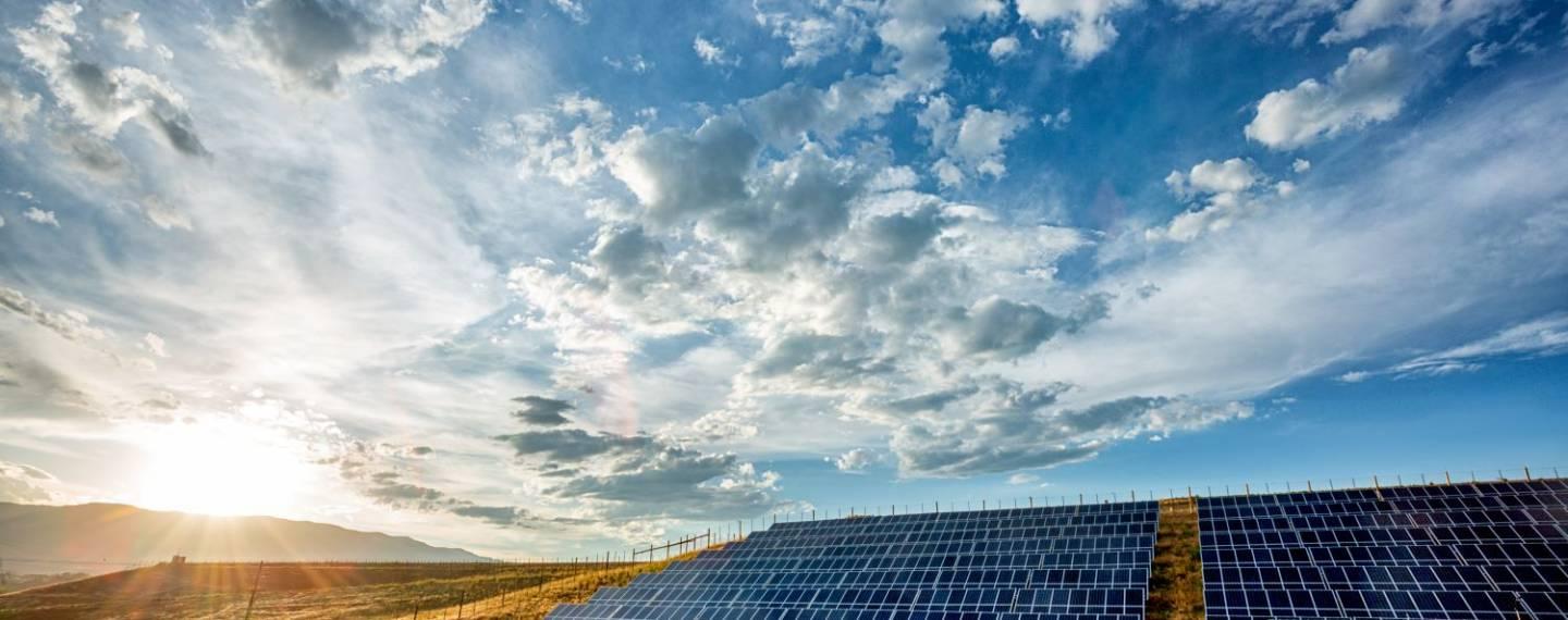 A field full of solar panels