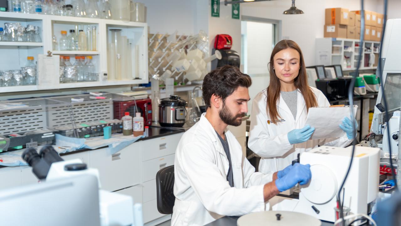 scientists working in laboratory