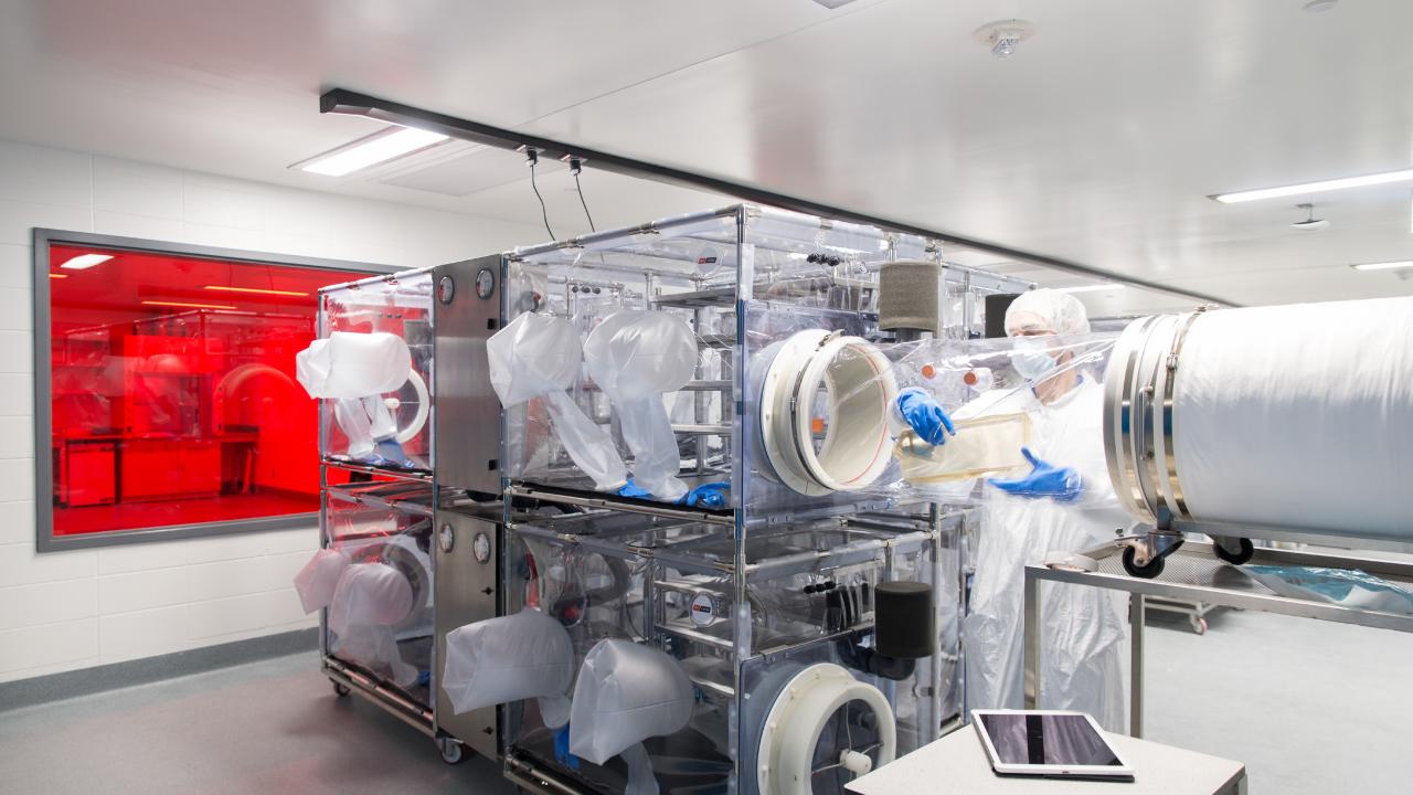 Laboratory equipment within the International Microbiome Centre