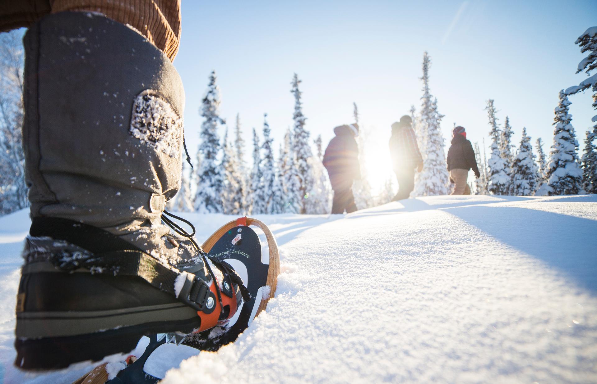 Snowshoe orienteering through a forest. Ingenuity and teamwork lead to a traditional Quebecois tourtière lunch