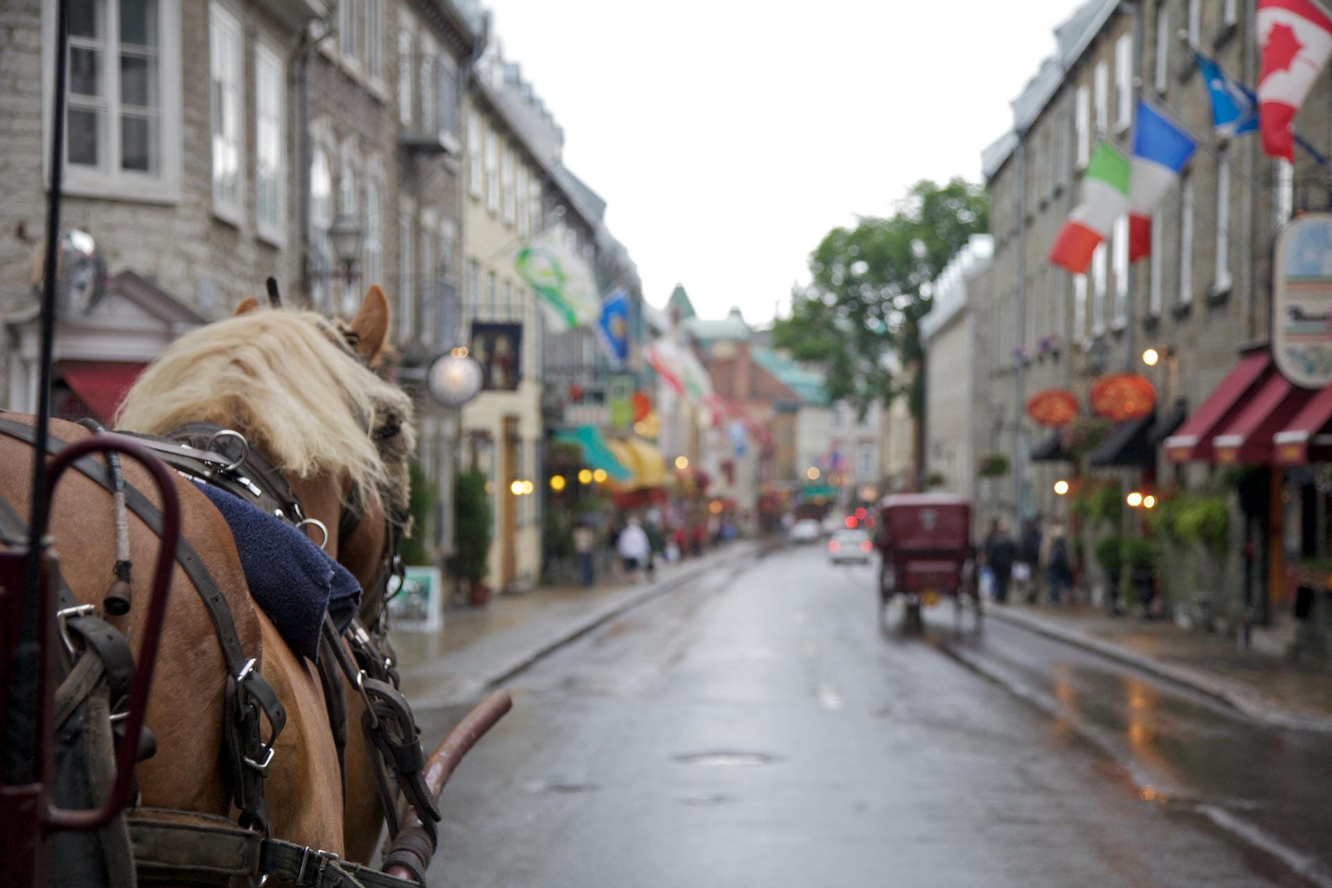 Caleche transportation from hotel to venue — horse-drawn carriage ride at sunset sets a magical tone for the evening