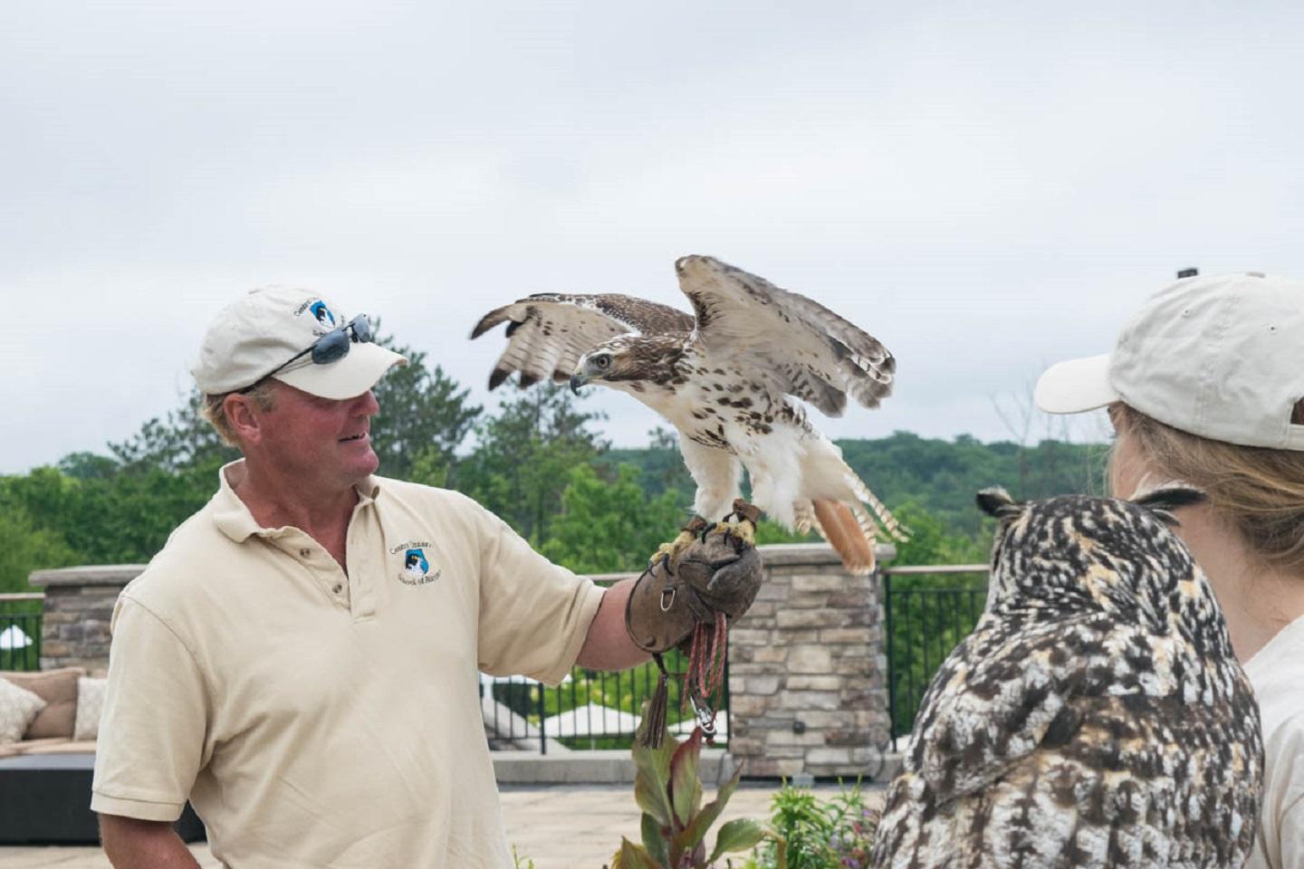 falconer