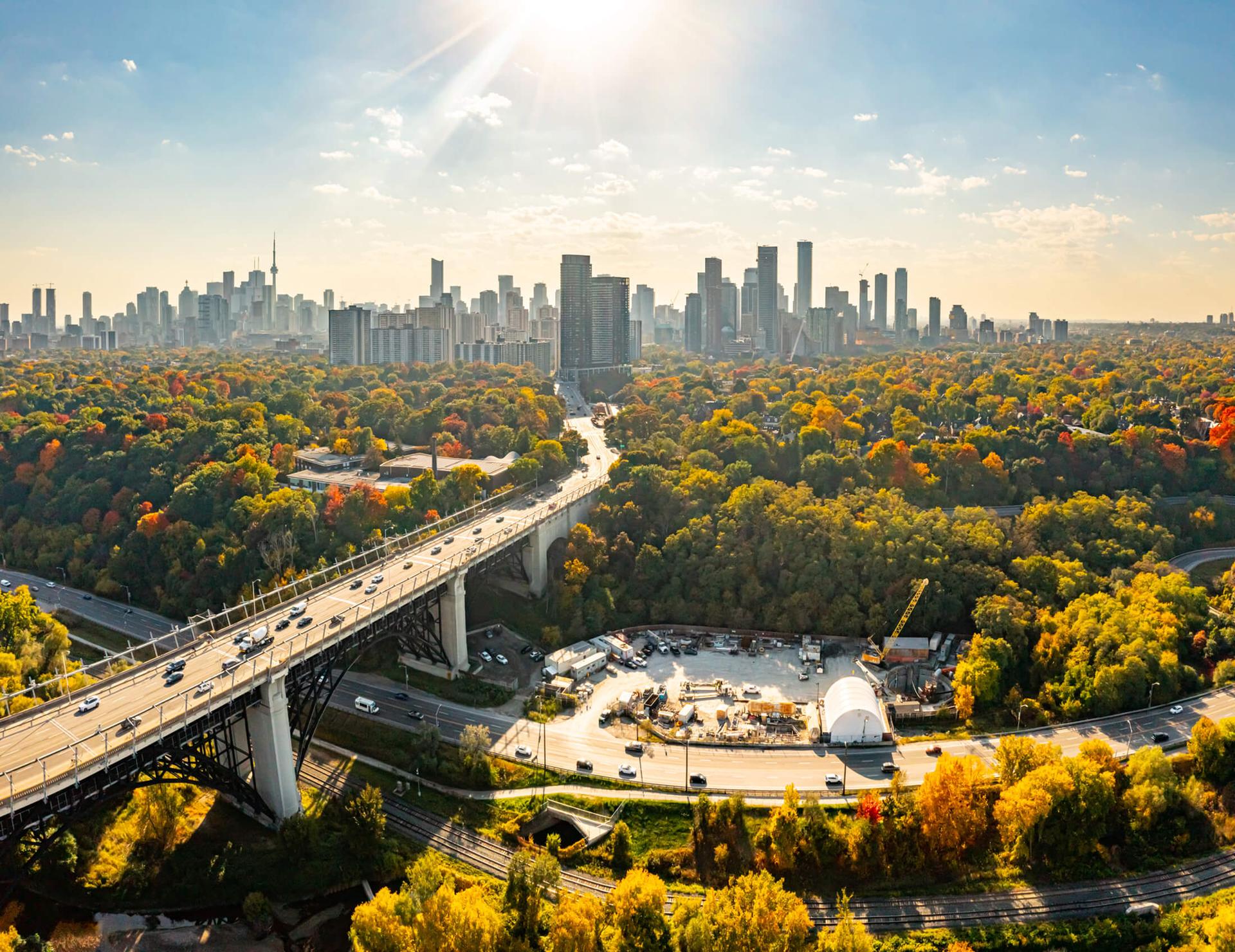 The skyline of a lush, tree-lined city, next to a highway overpass