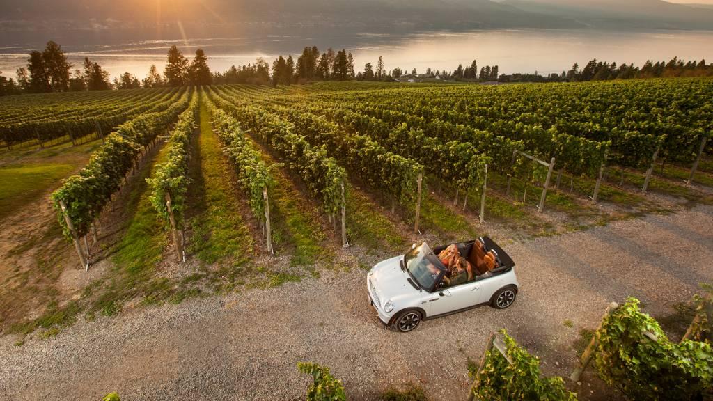 A white convertible car drives alongside a vineyard in Kelowna