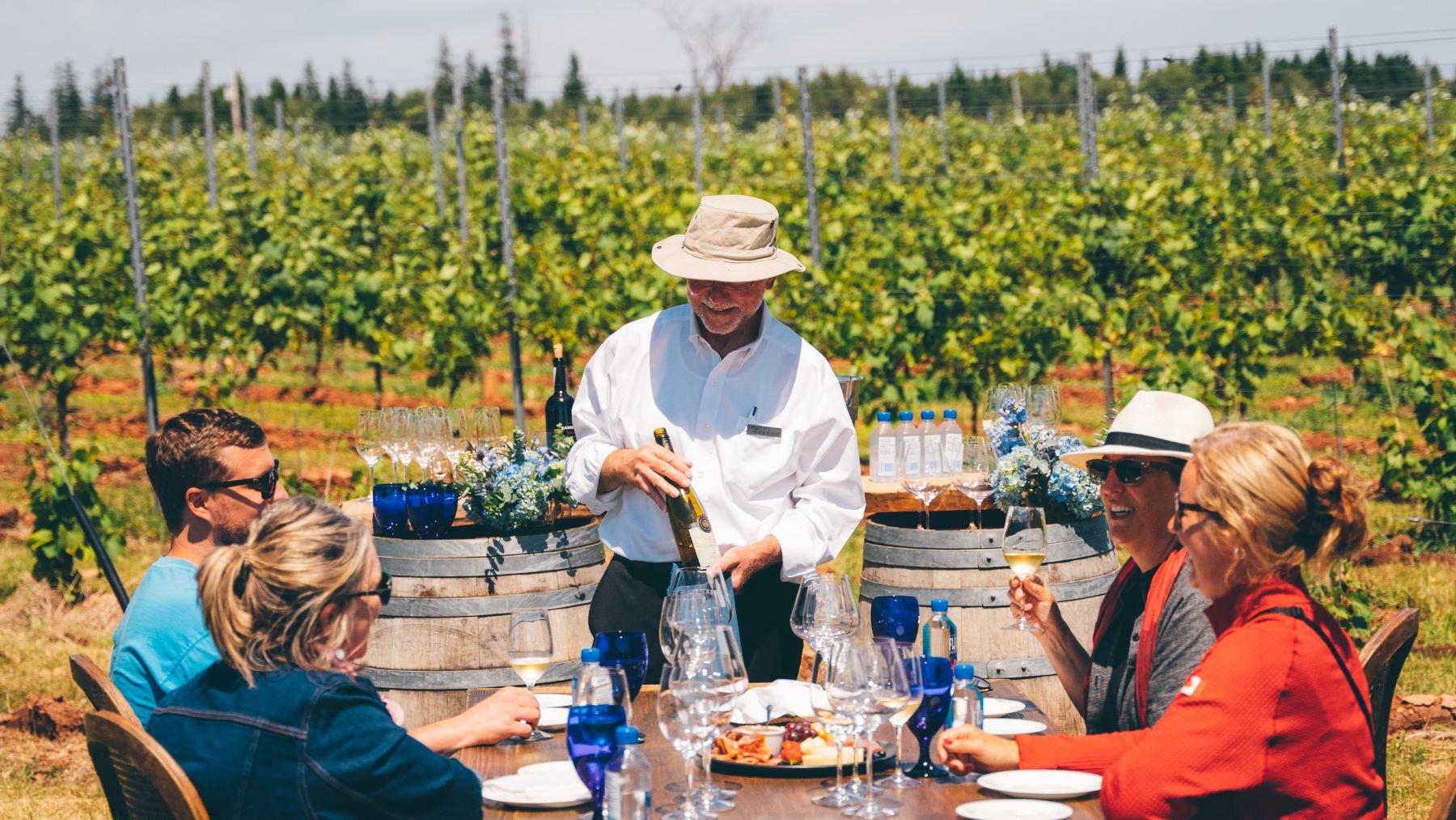 a group of people dining and wine tasting