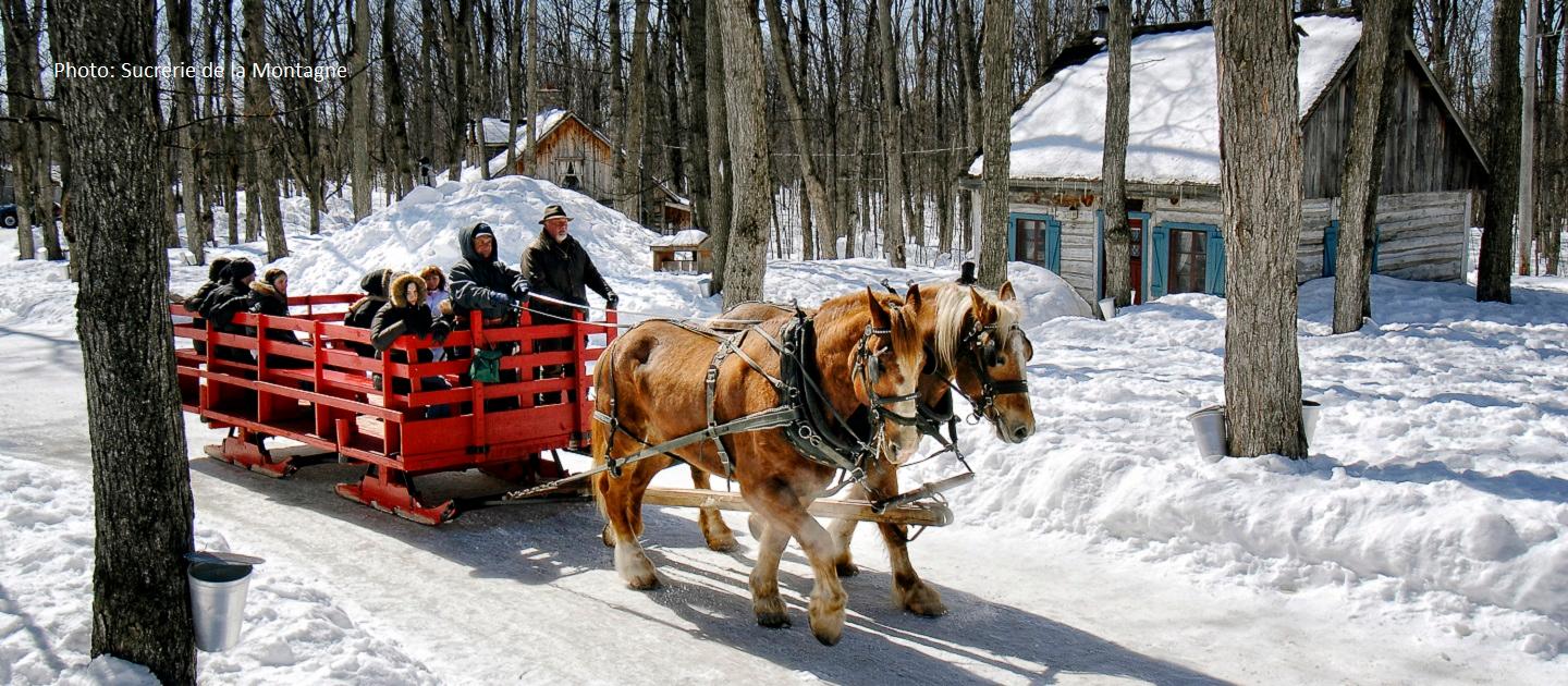 horse carriage