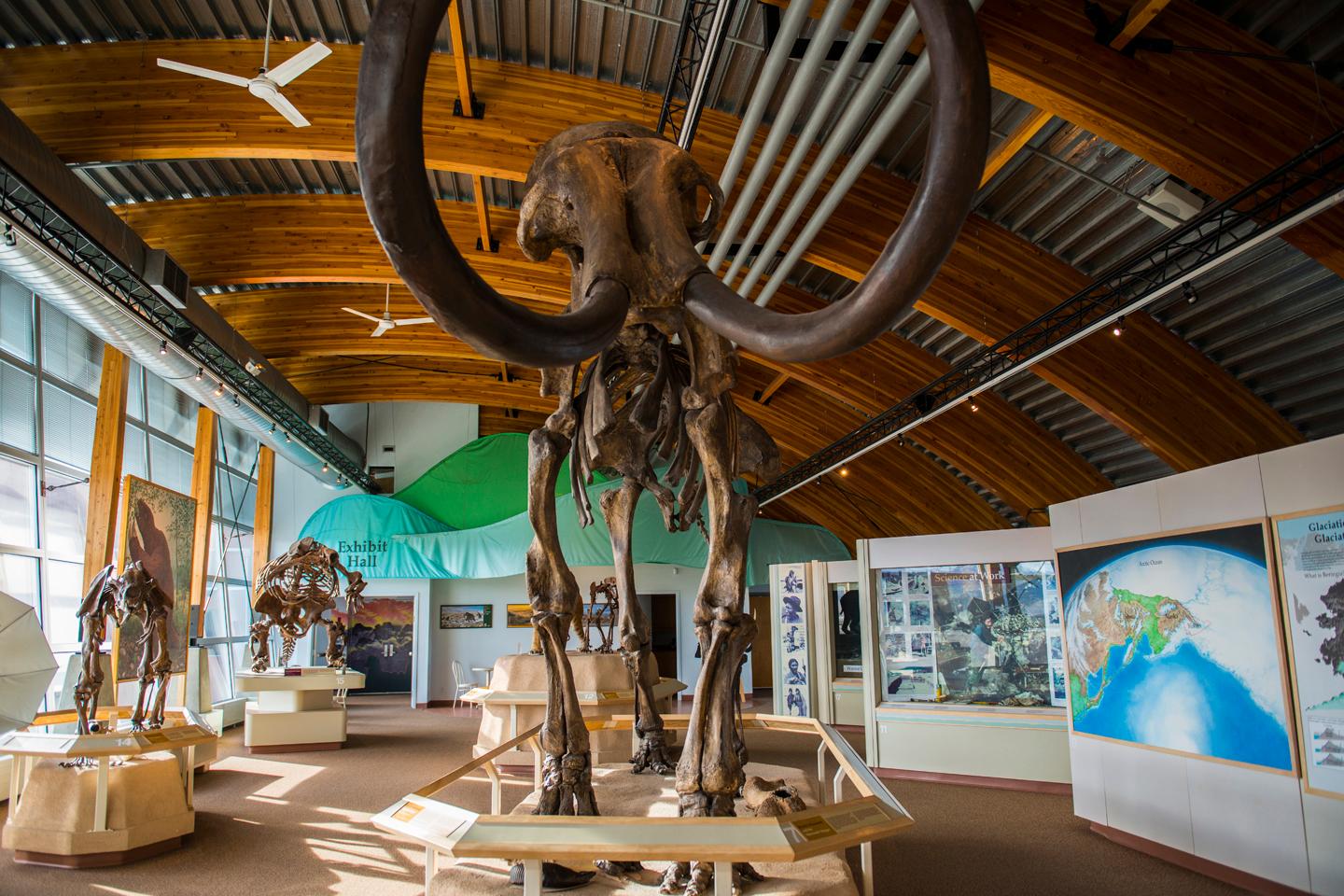 Yukon Beringia Centre
