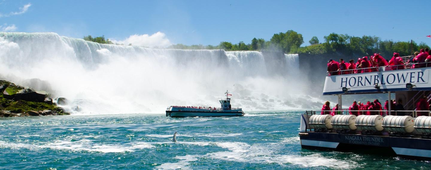 Hornblower Cruise
