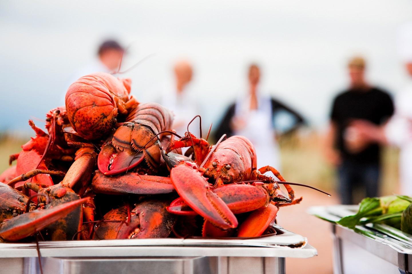 Private catered BBQ on a pristine island beach — Lobster and steak is the perfect island pairing